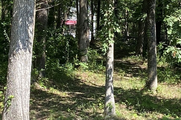 Secluded wooded path from dock to house