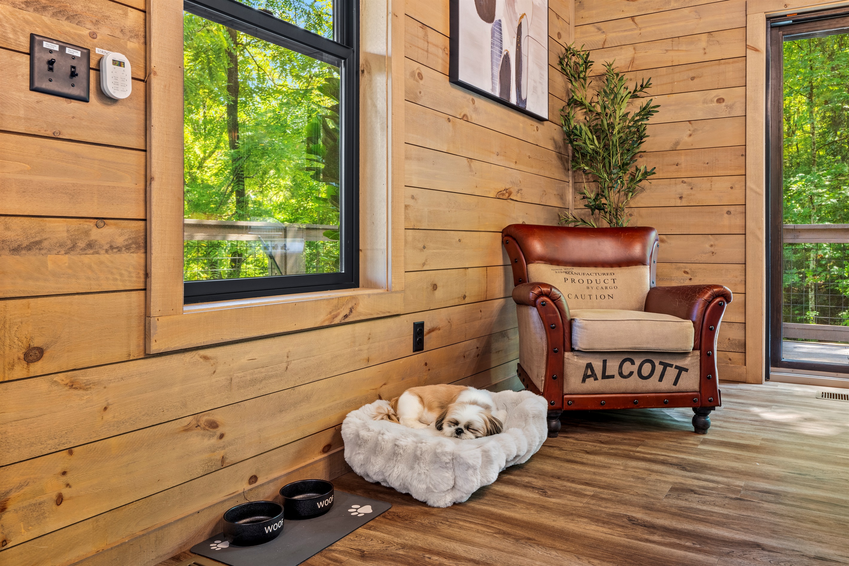 🐶 Pet-friendly perfection. Your pup called—said they must stay here again. (Yes, that bed is for them, not you.)