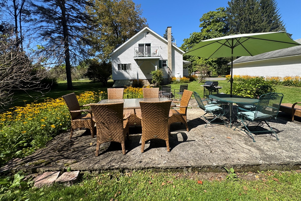 Back patio area