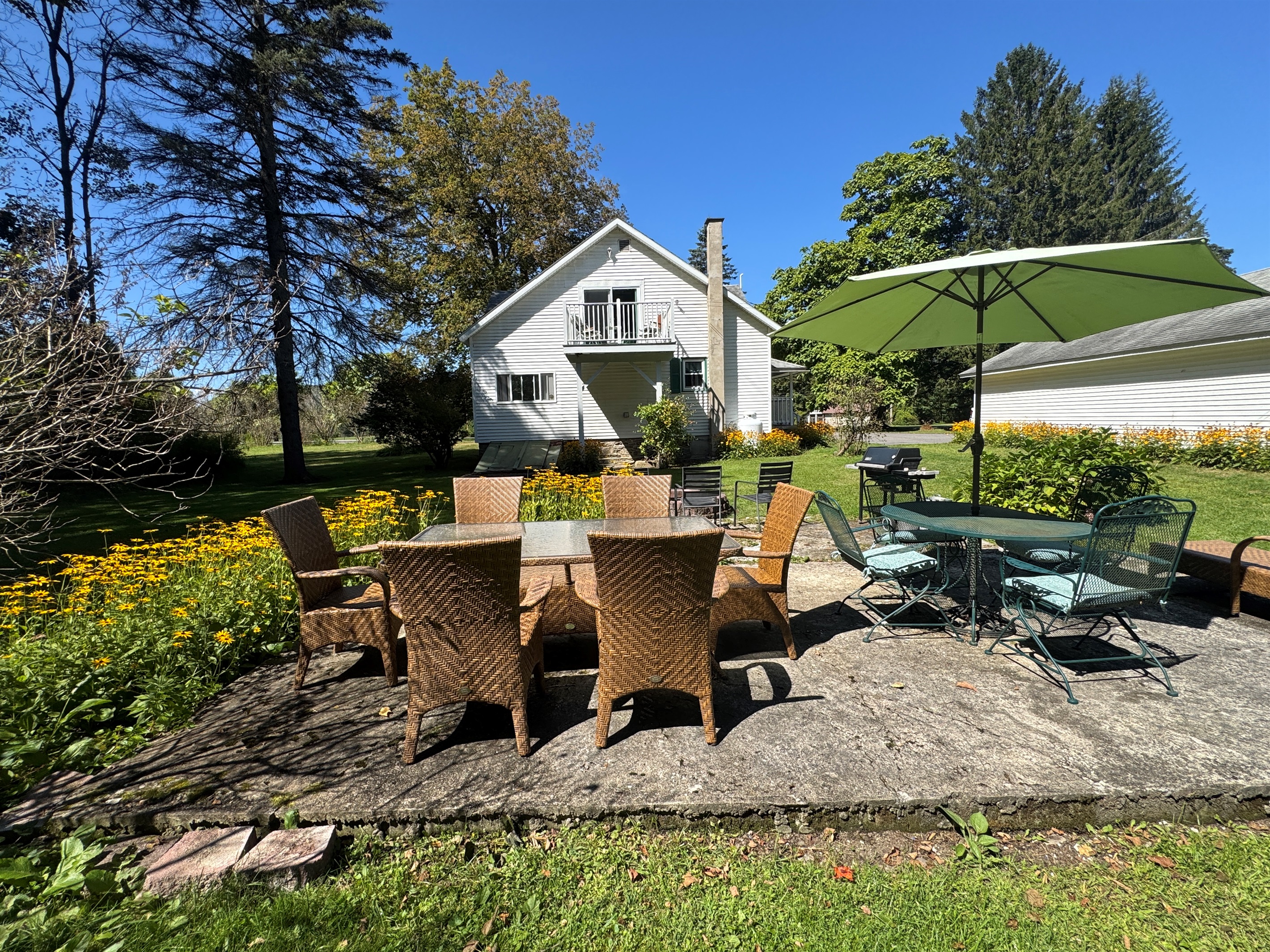 Back patio area