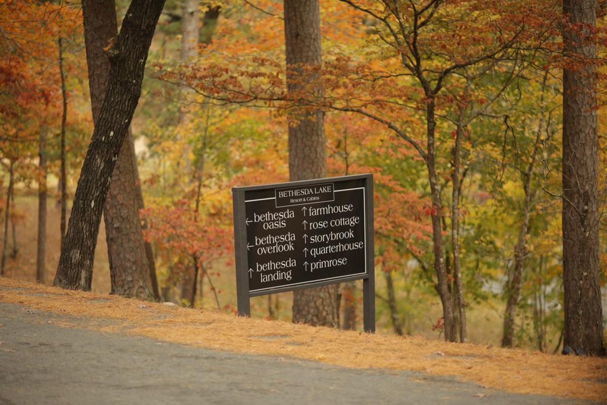 National Park-Like Setting