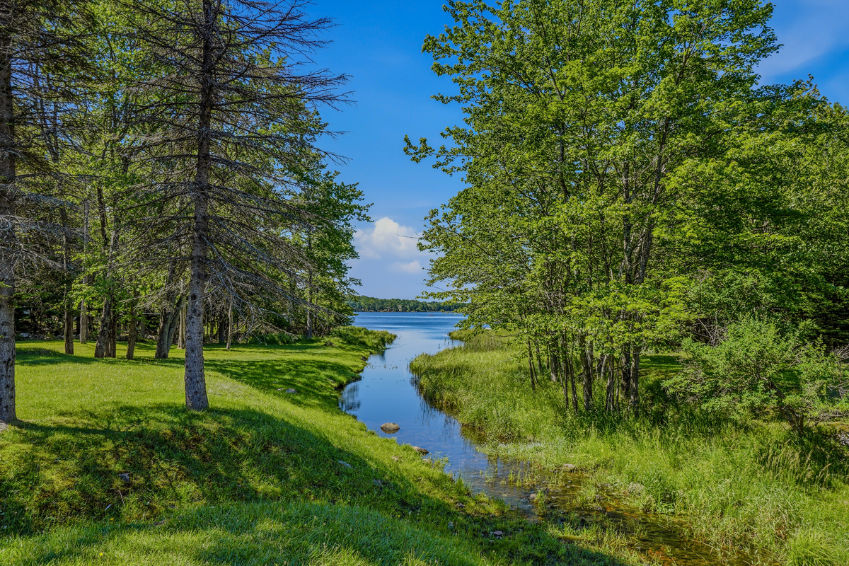 Community grounds — manicured lawn, waterway channel, and mature tree canopy