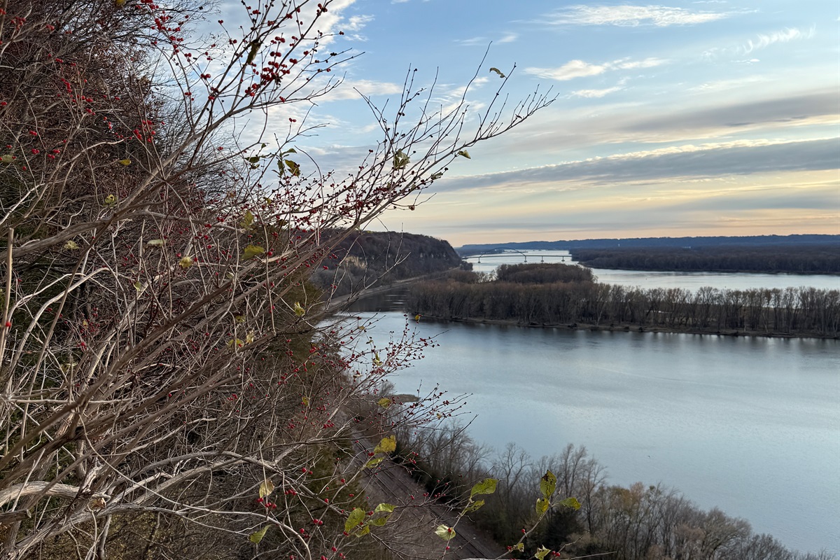 Gorgeous views from Mississippi Palisades State Park, 5 min drive