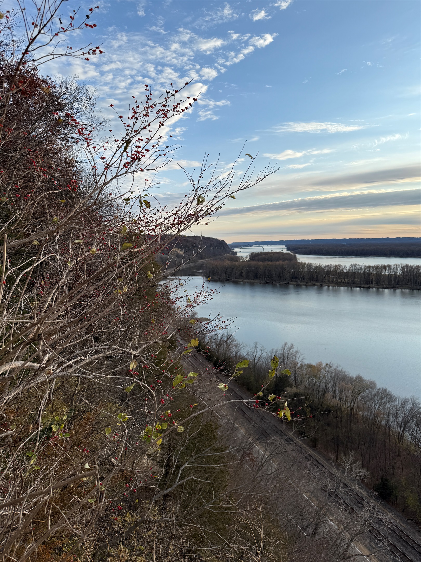 Gorgeous views from Mississippi Palisades State Park, 5 min drive