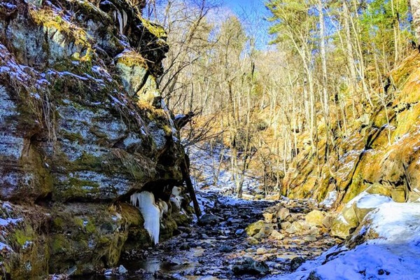 Parfrey's Glen State Natural Area (23 miles)