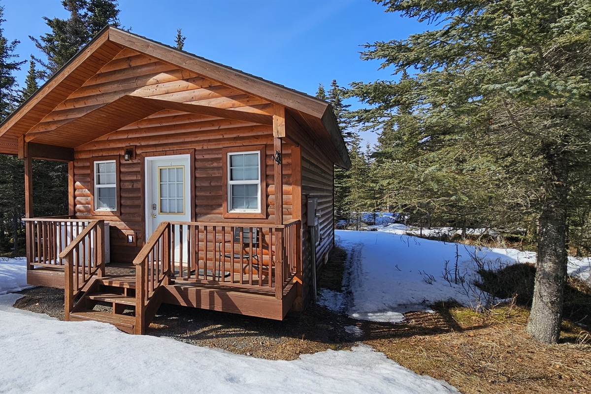 Front of Cabin - Early Spring