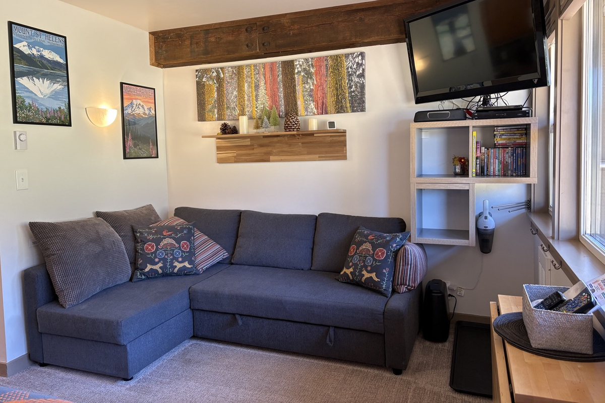 Living area & extra full bed