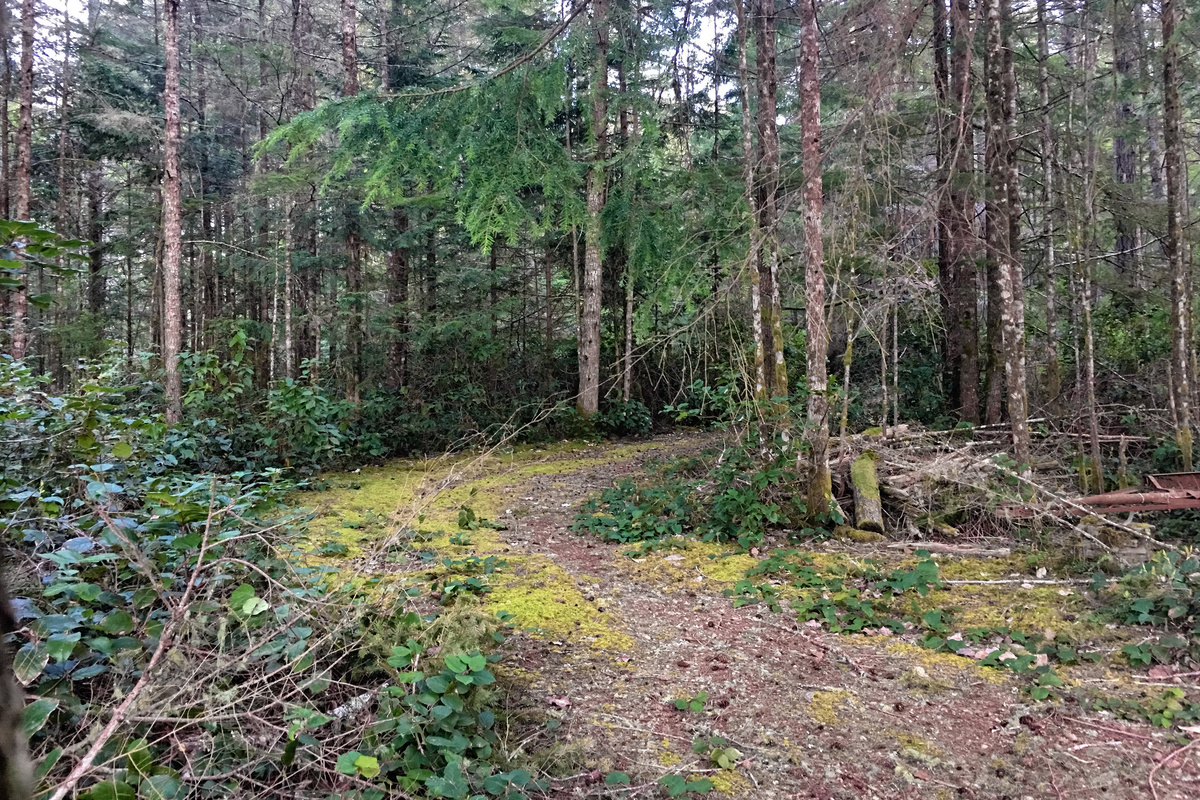 One of the many Paths in the Forested area, beside The Great Escape