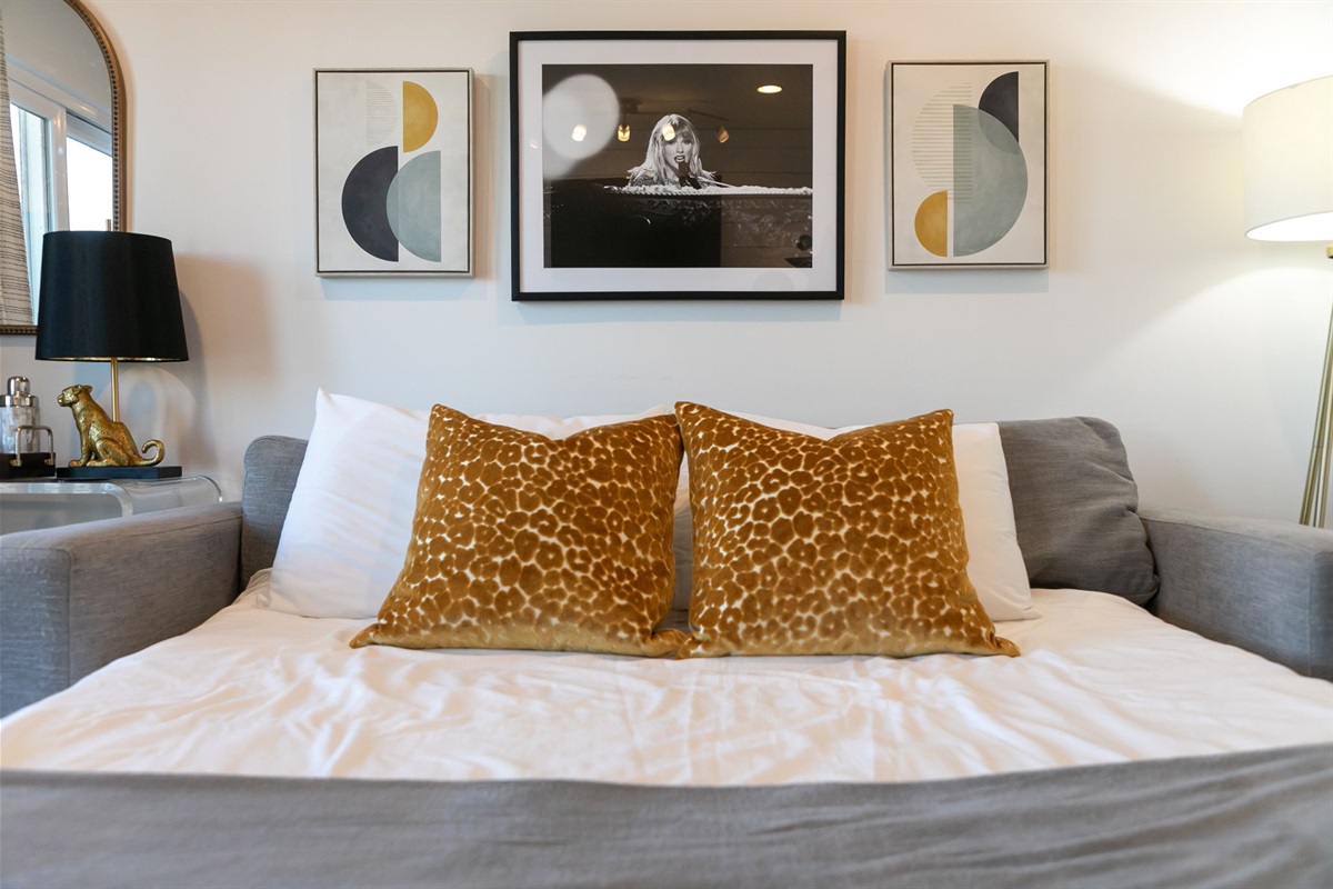 Fold out queen size sofa bed