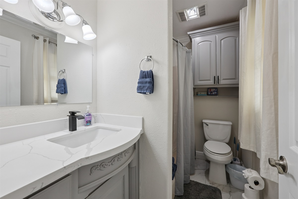 master bathroom #1