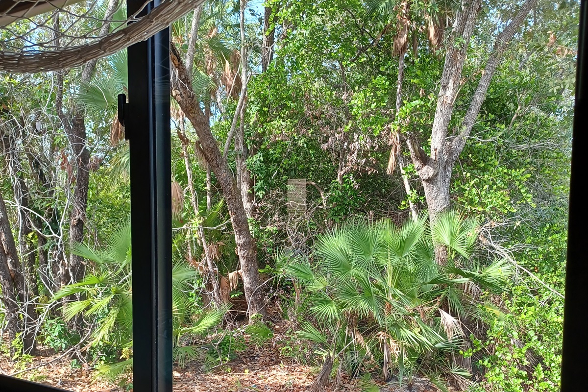 Seahorse bedroom view