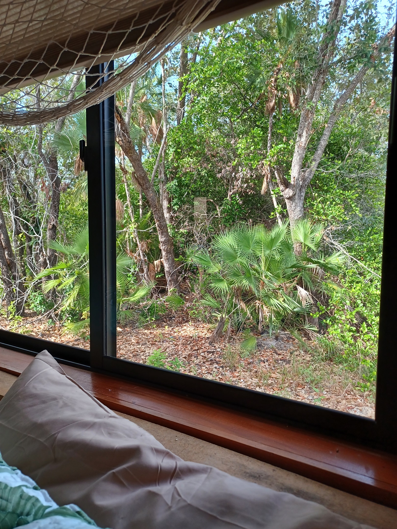 Seahorse bedroom view