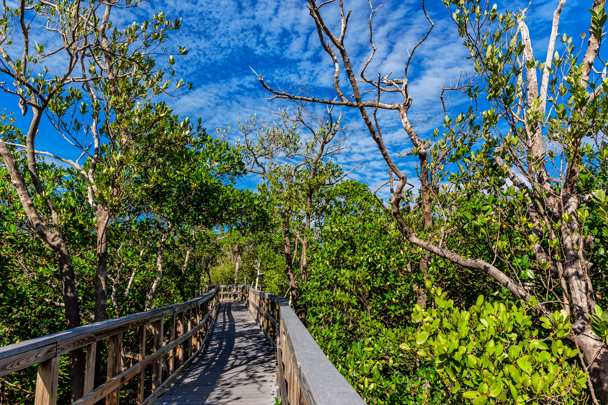 Nature Walk