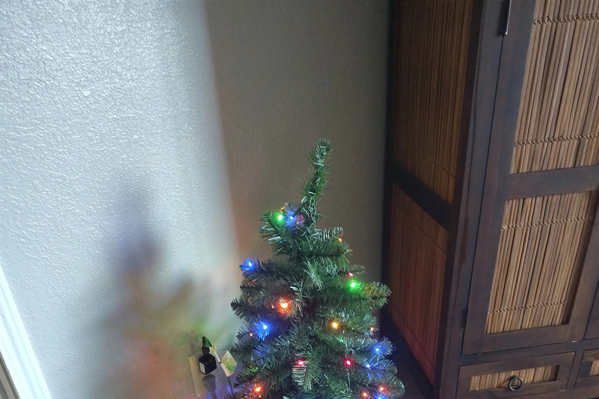 A simple spark of Christmas cheer the moment you walk in