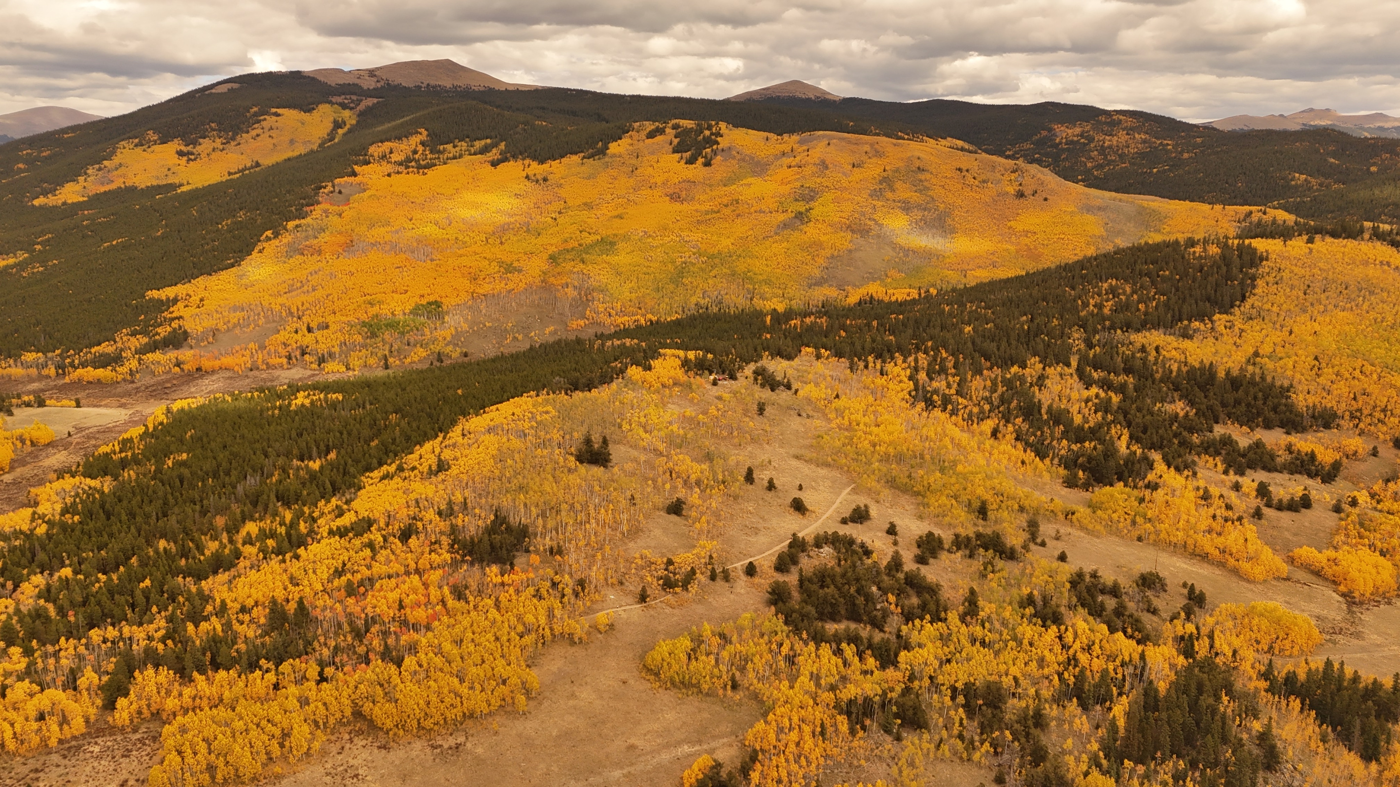 Breathtaking aerial shots of vibrant autumn aspen groves and changing mountain foliage in the local area.