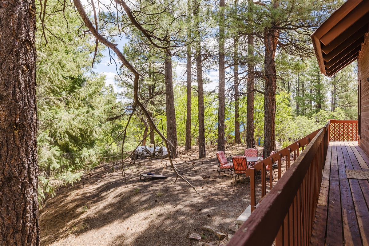 The home is located on a spacious wooded property to enjoy an outdoor snack.