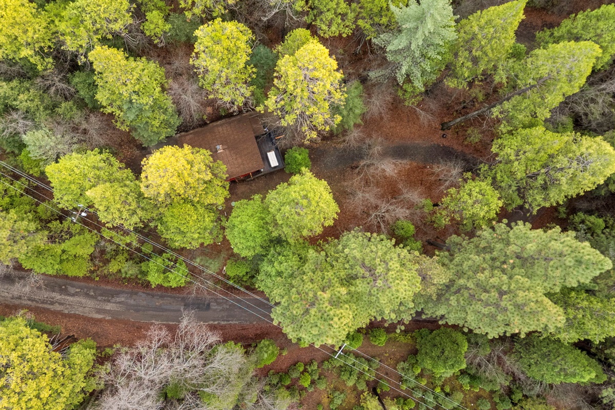 The cabin sits on 2 beautiful forested acres. There are frisbee golf cages scattered throughout.