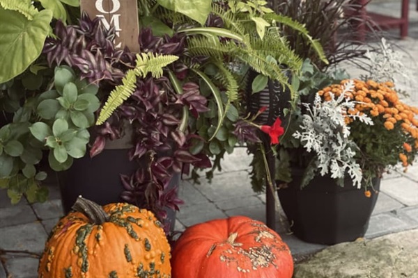 Welcoming in any season!