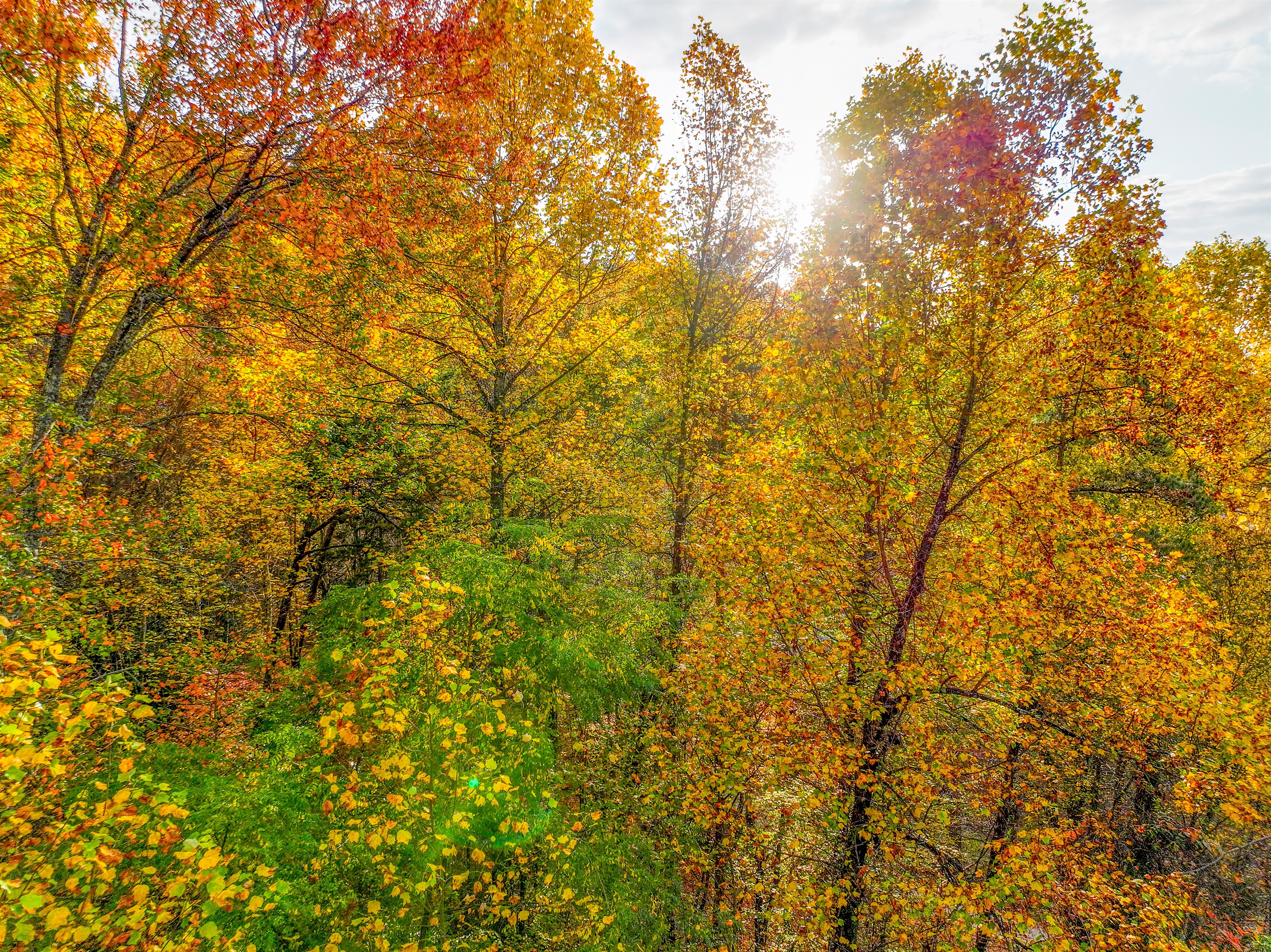 An aerial view of a serene autumn landscape, where vibrant hues of gold, orange, and red blanket the forest. Cozy cabins nestle among the trees, with majestic mountains rising in the distance.