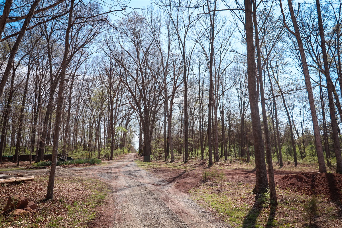 Follow the lane to your own private getaway