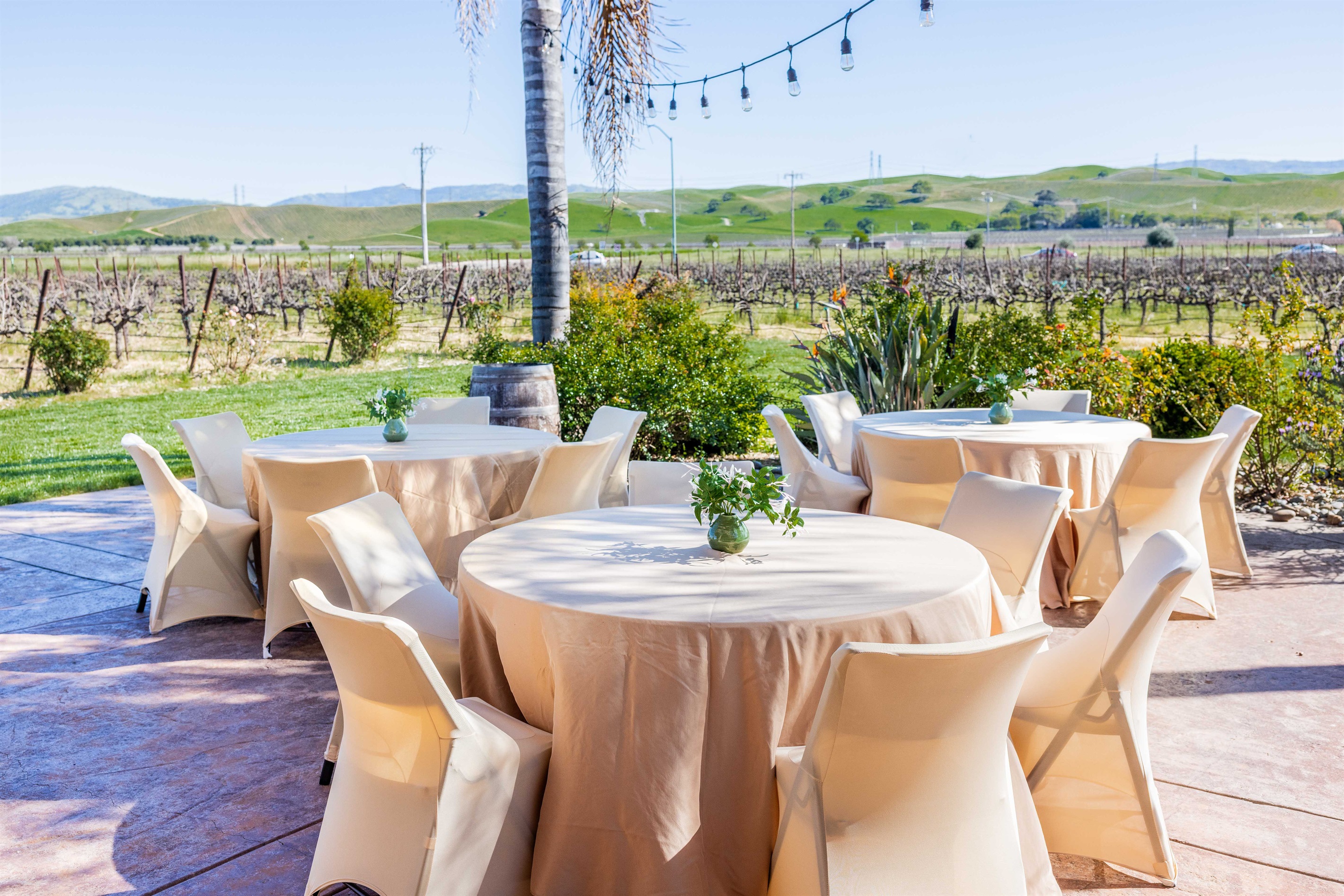 Speak with us about planning a small celebration with your guests!