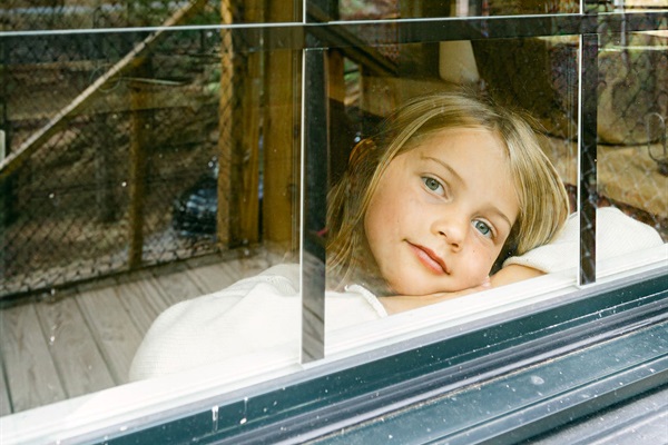 Watch nature through the windows