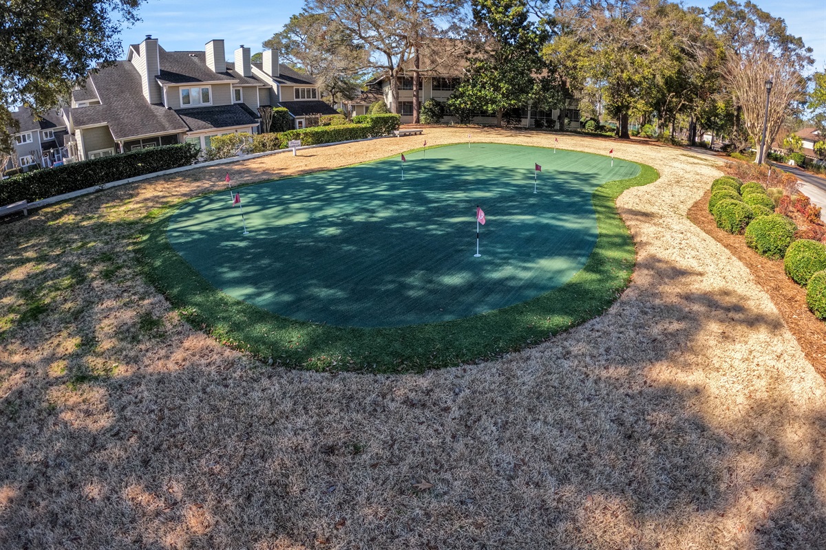 The Greens Putting Area