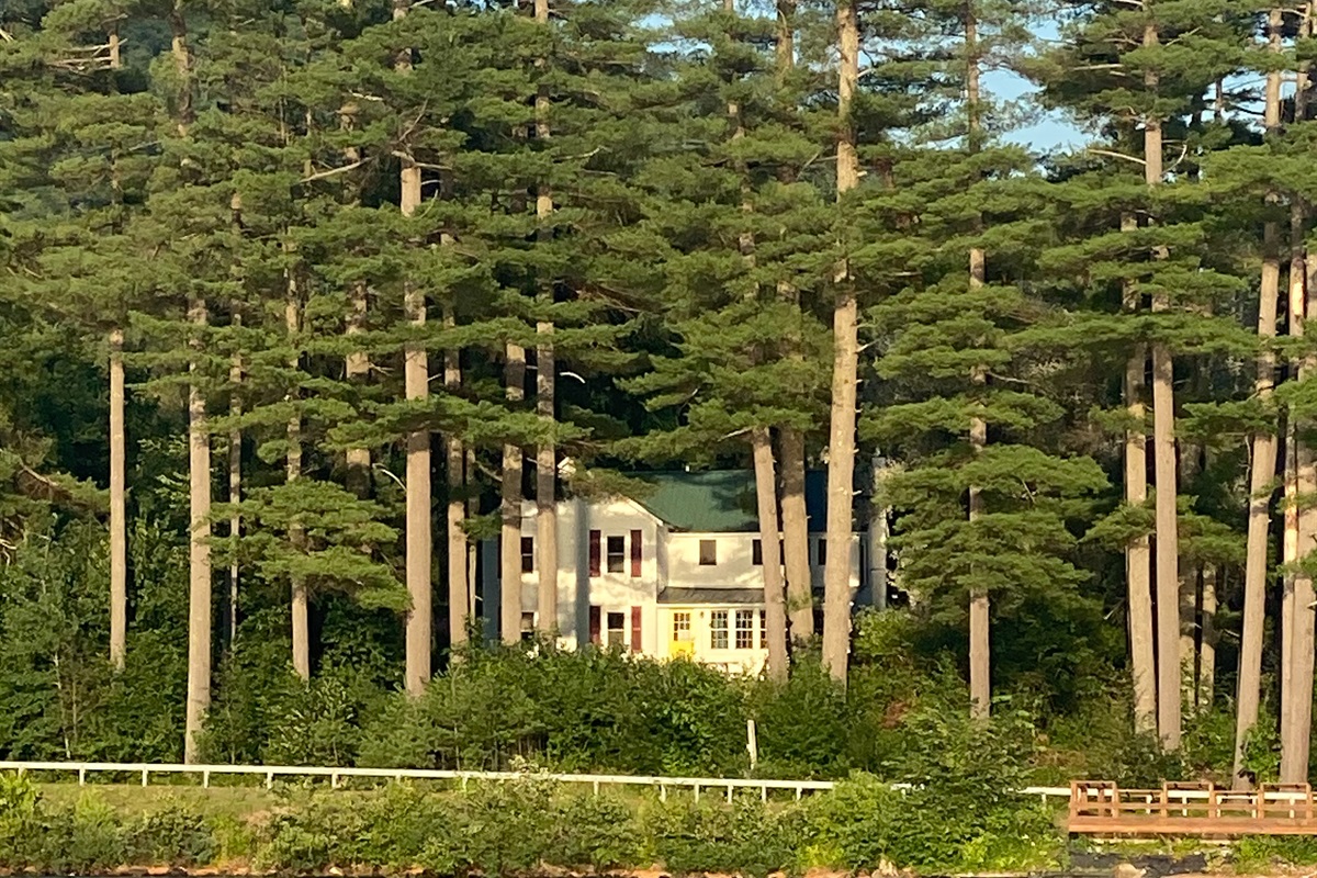 From the lake, you can see how the house perches upon a little hill surrounded by tall pines, in the late afternoon sun.