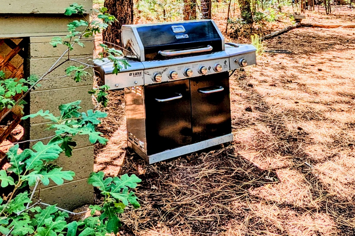 Grill on site
