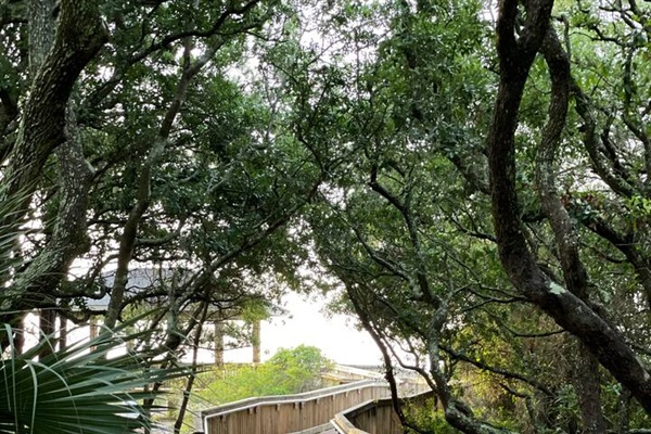 Boardwalk to the beach!  it's a 5 minute walk from the front door Islander Park beach access