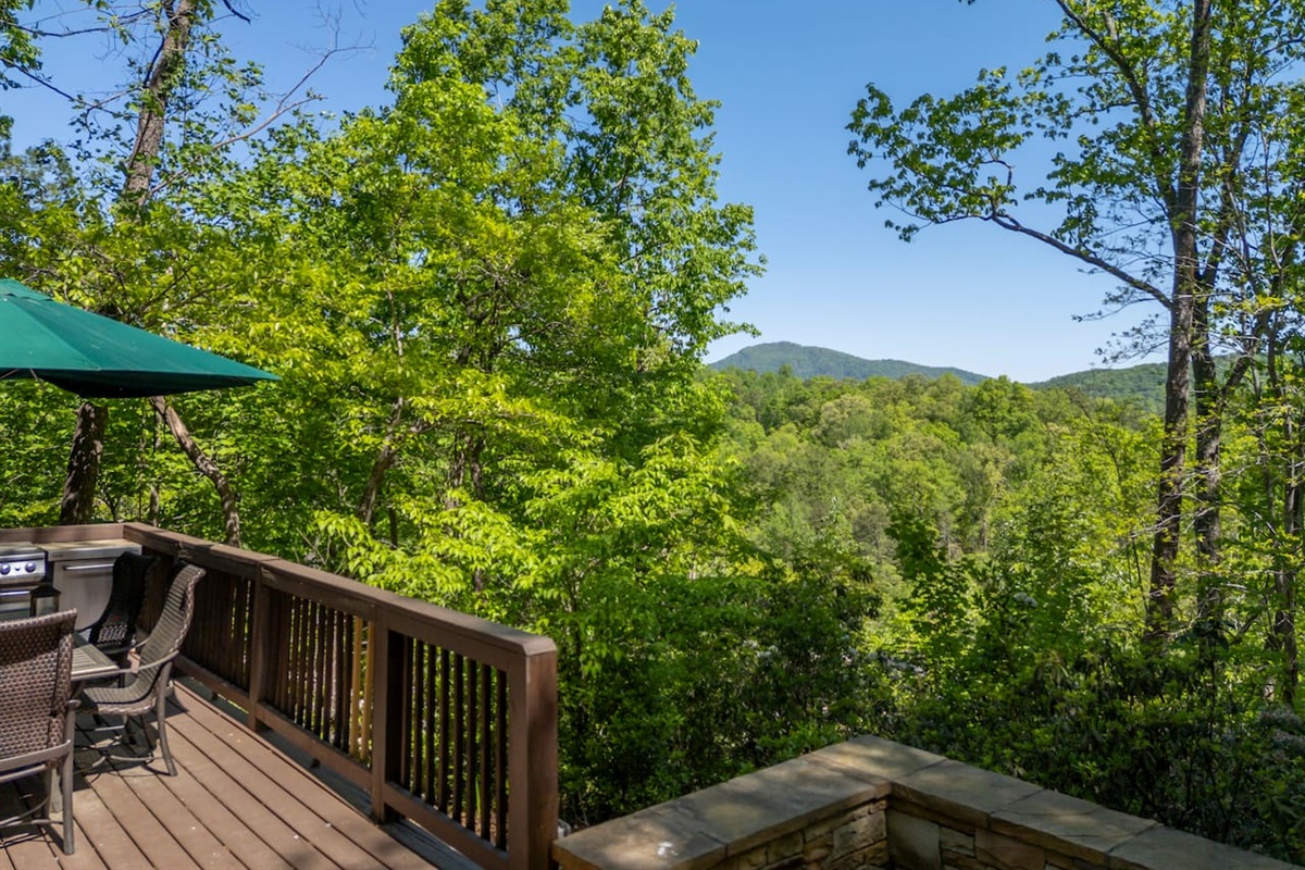 View from main-level deck 