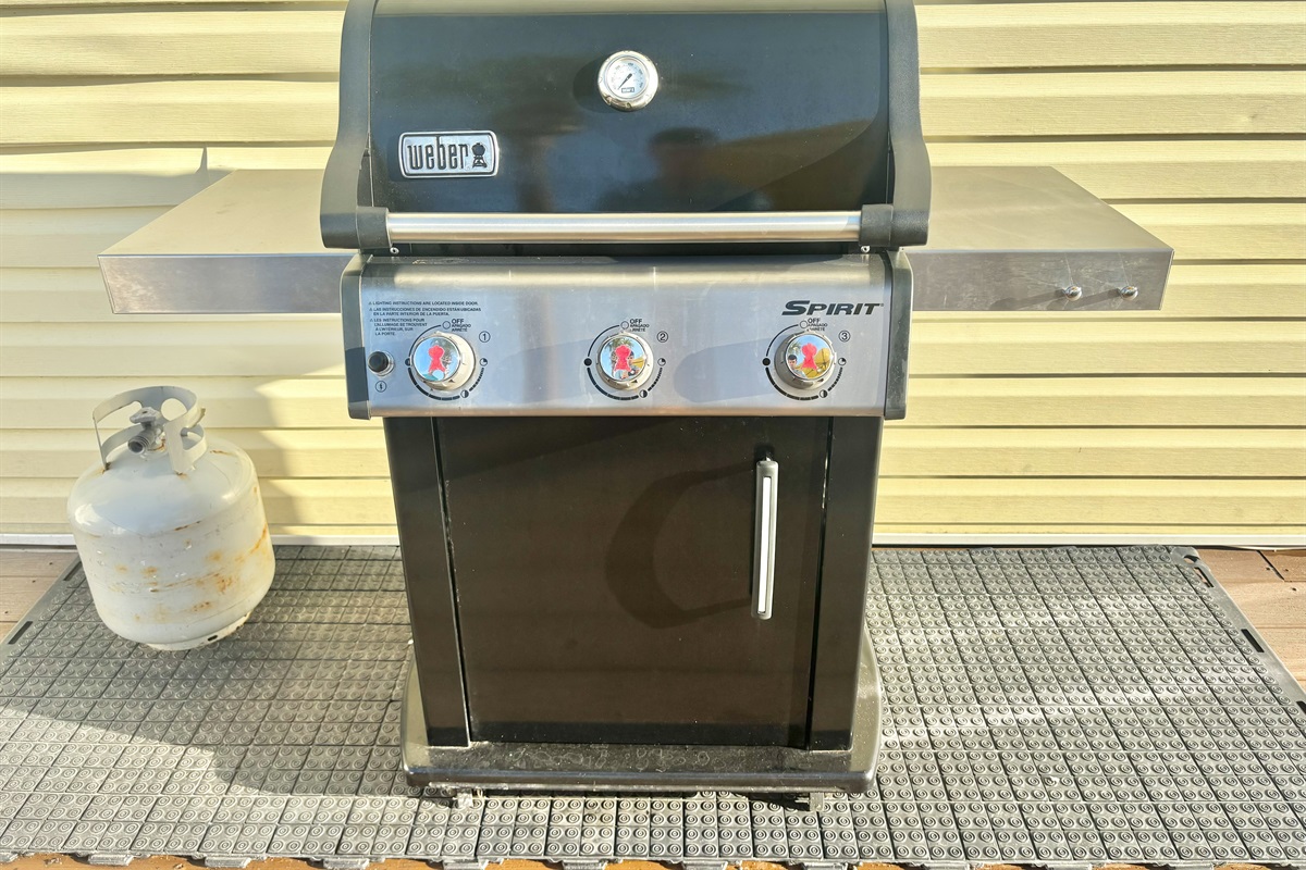 Propane grill on patio