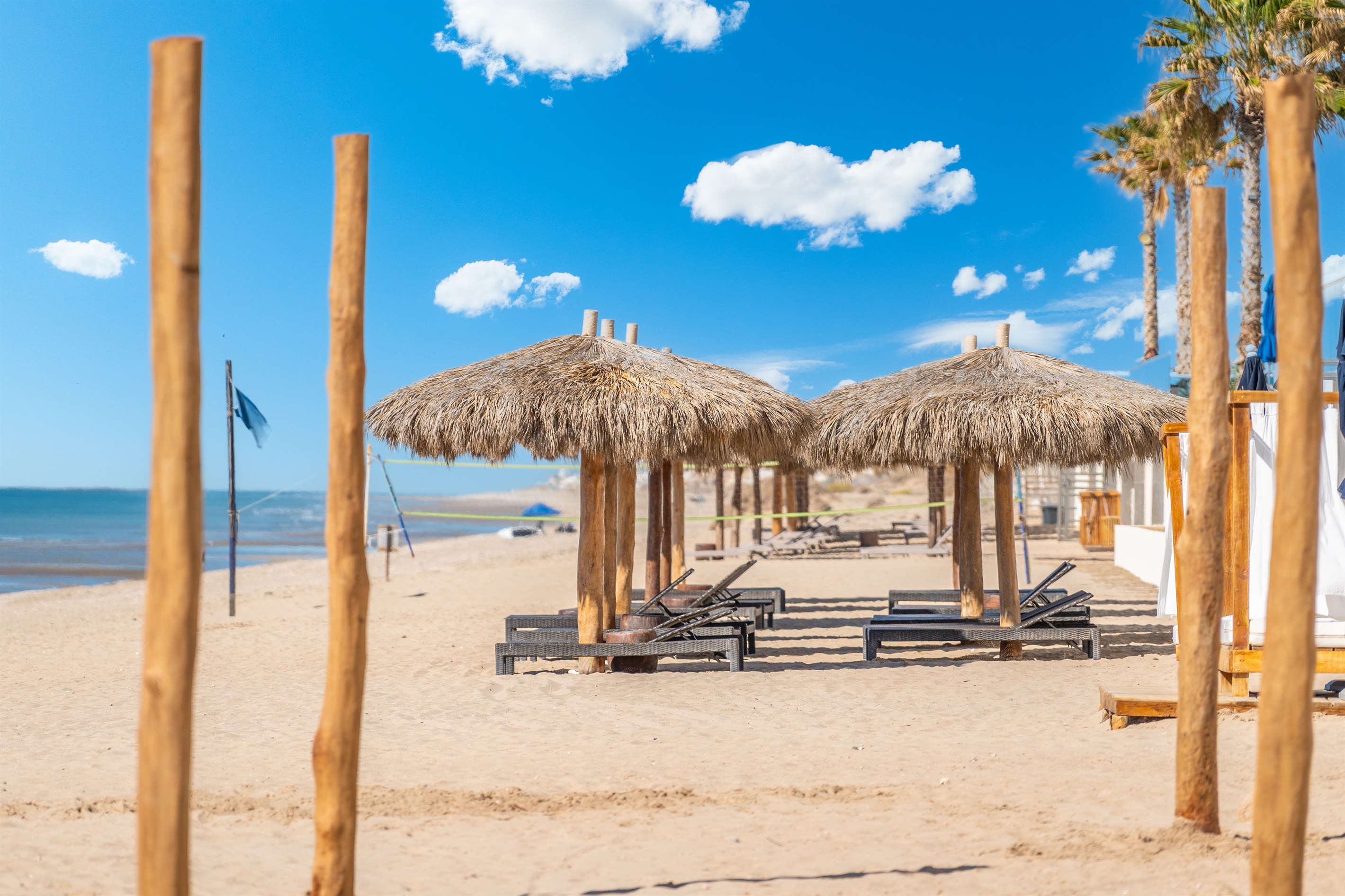 Palapas with Lounge Chairs