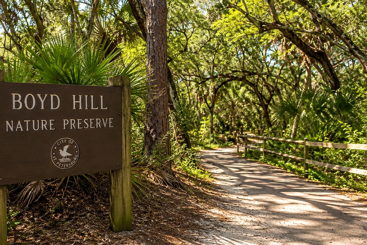 Boyd Hill