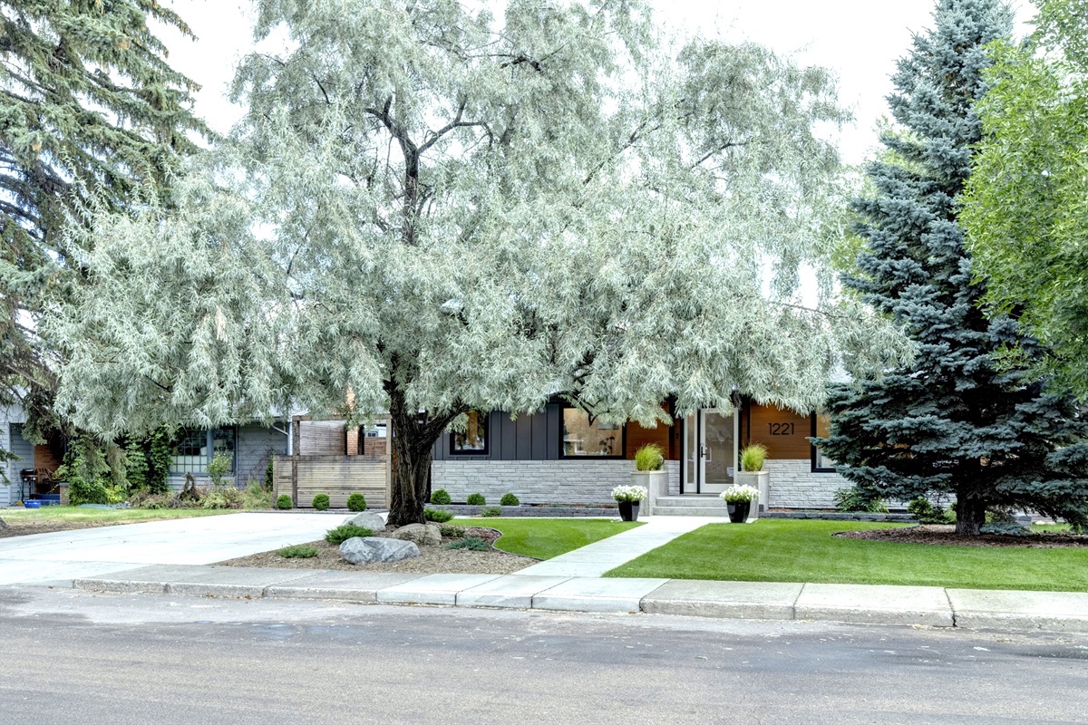 Street view of the home with ample street parking in front in a quiet, established residential area.