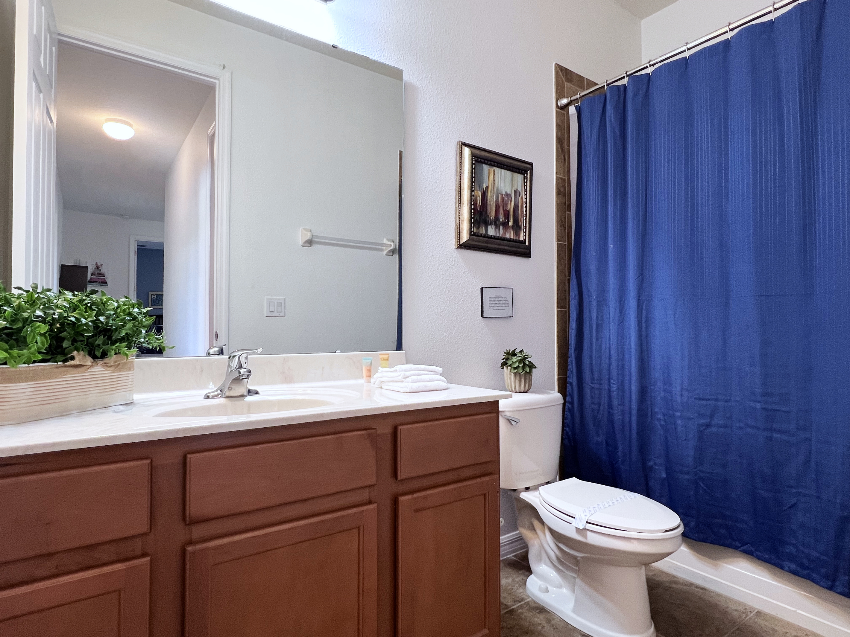 Hall/Pool Bathroom