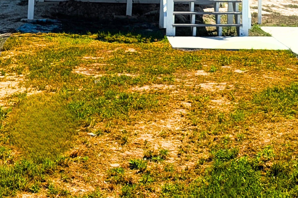 Brand new canal front tiny home.