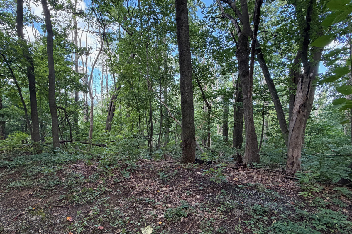 Numerous trails are on the 26 acre property, which you are free to use. We do have many wild animals to enjoy watching, but do take care and be safe. Read through the Guest Welcome Book about safety before you venture off.