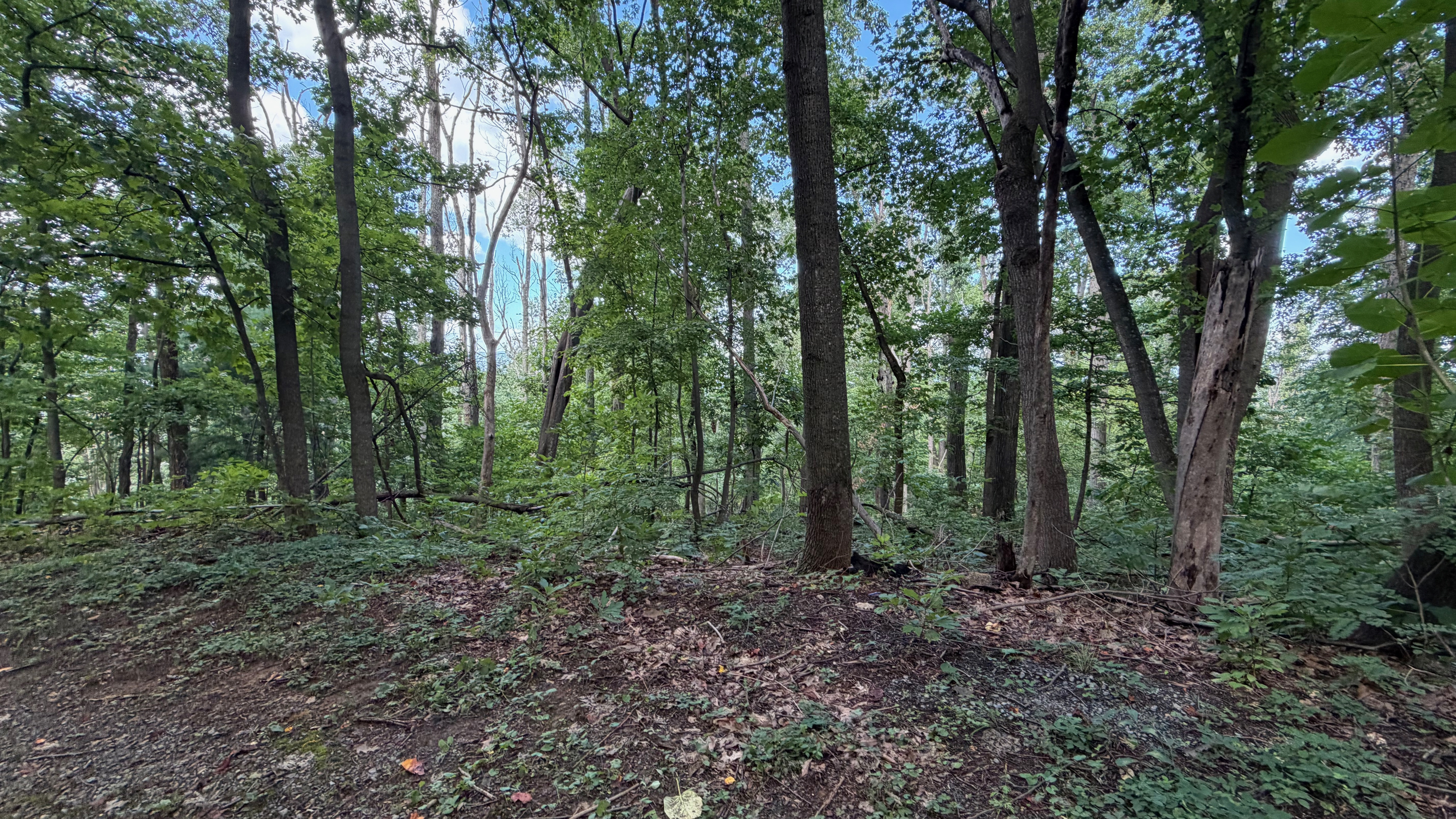 Numerous trails are on the 26 acre property, which you are free to use. We do have many wild animals to enjoy watching, but do take care and be safe. Read through the Guest Welcome Book about safety before you venture off.