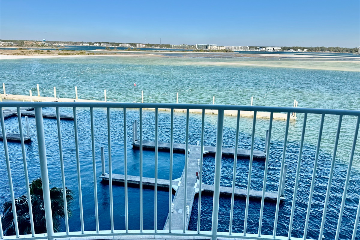 You'll enjoy watching the dolphin playing in the water on our balcony!