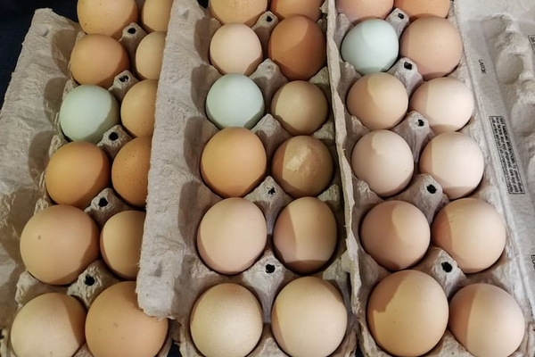 Farm Fresh Eggs 