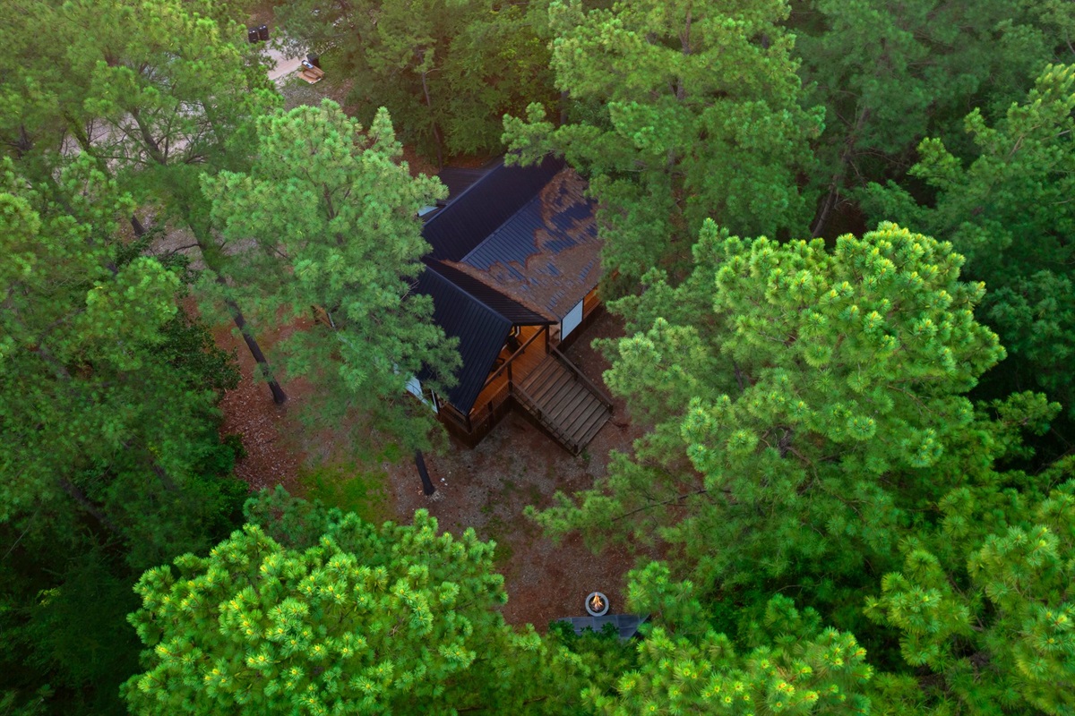 Charming Cabin Retreat: Nestled among towering pines, your peaceful escape awaits!