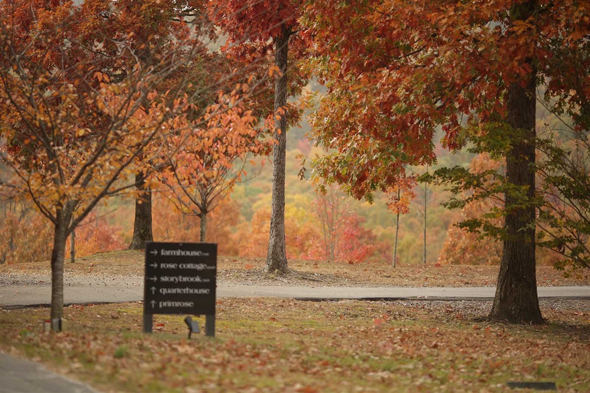 National Park Like Setting