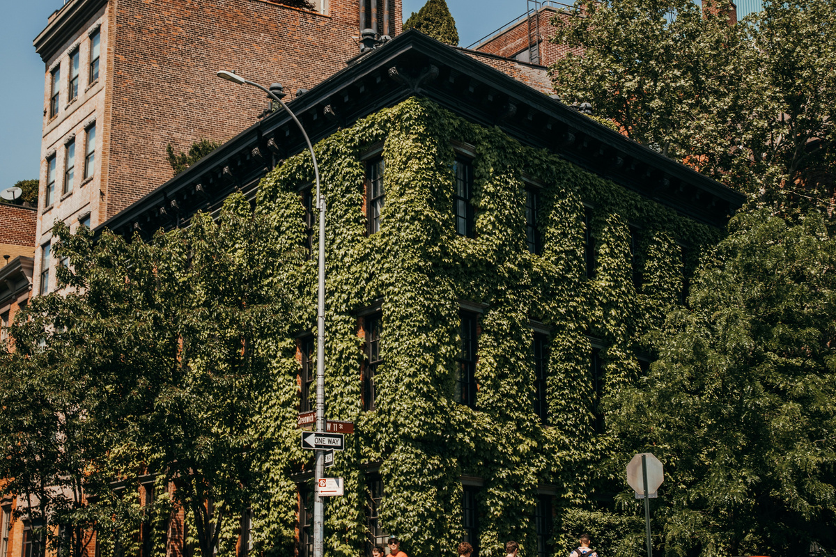 Ivy-covered building near your West Village rental, NYC