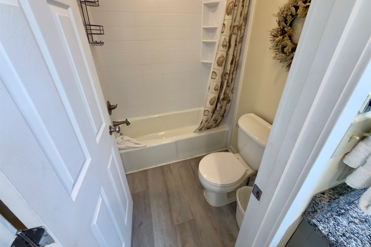 Main Bathroom