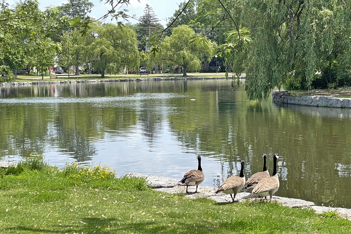 Stroll in Victoria Park