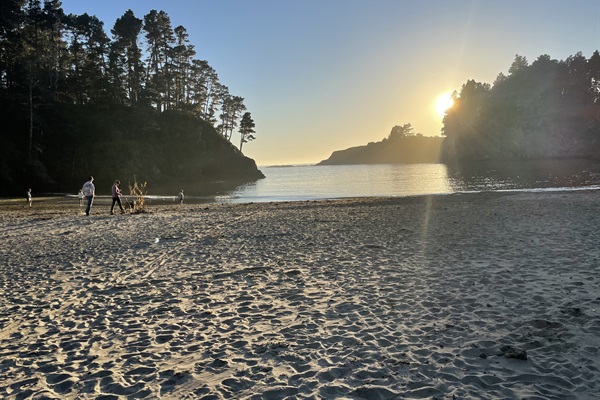 Jug Handle State Reserve 