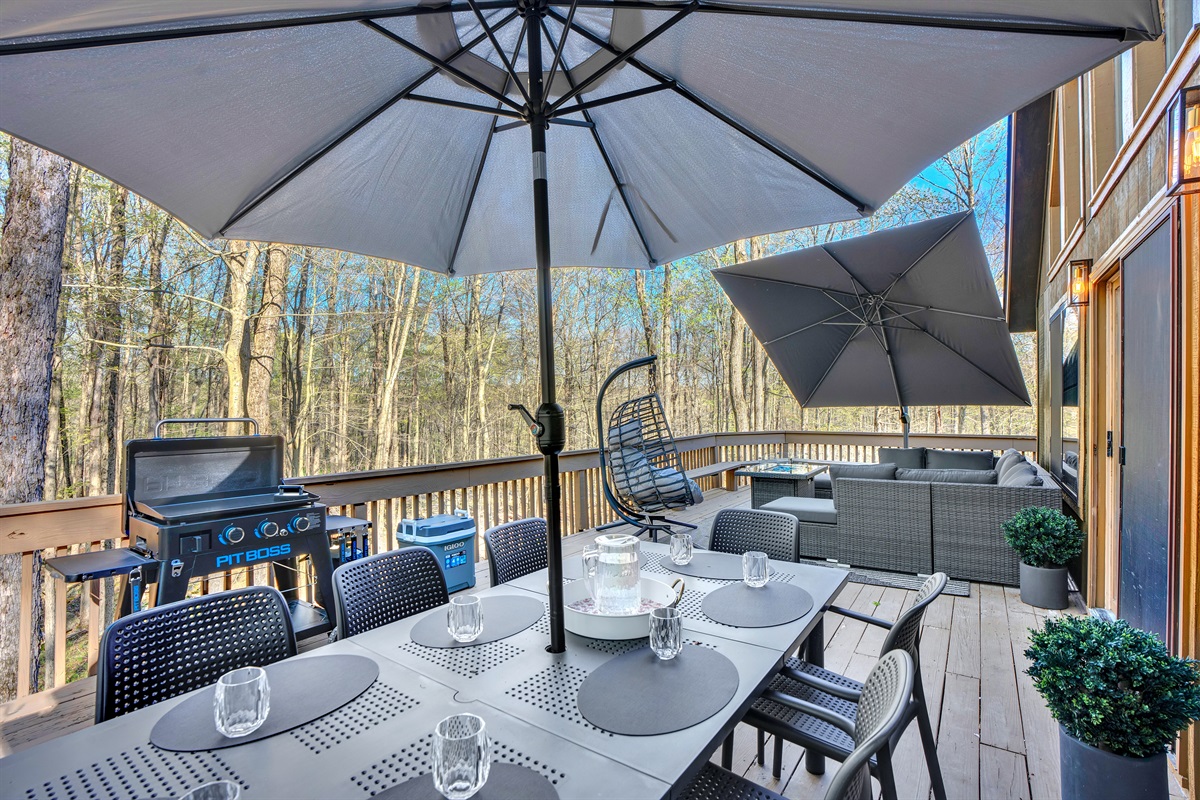 “Outdoor dining surrounded by trees — sunshine by day, stars by night.”