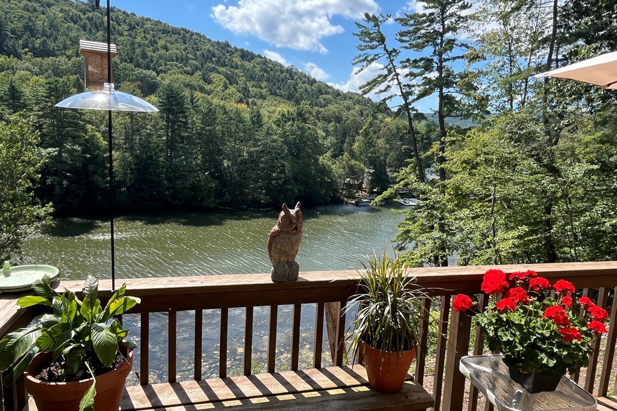 Rear deck overlooking the water