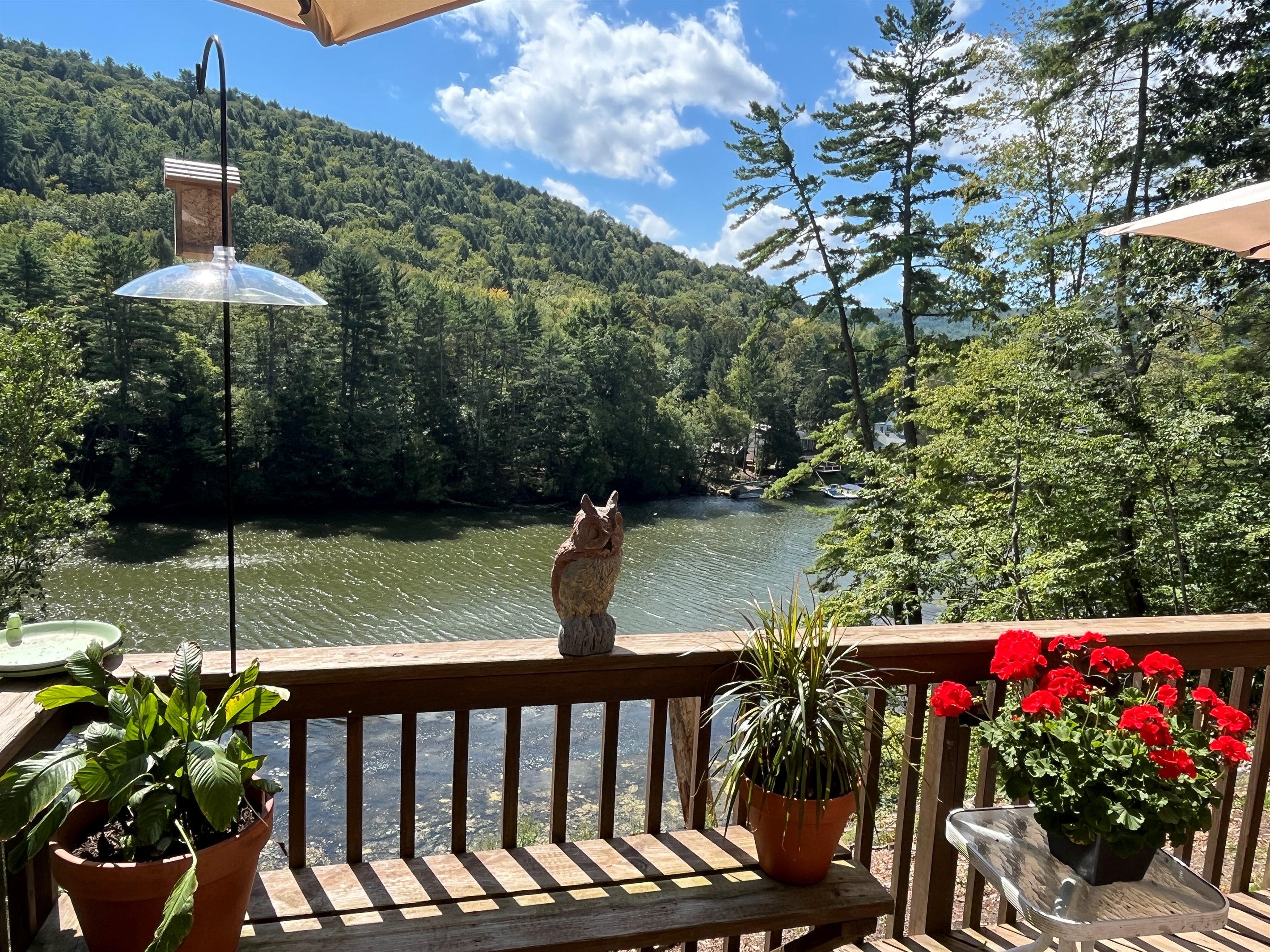 Rear deck overlooking the water
